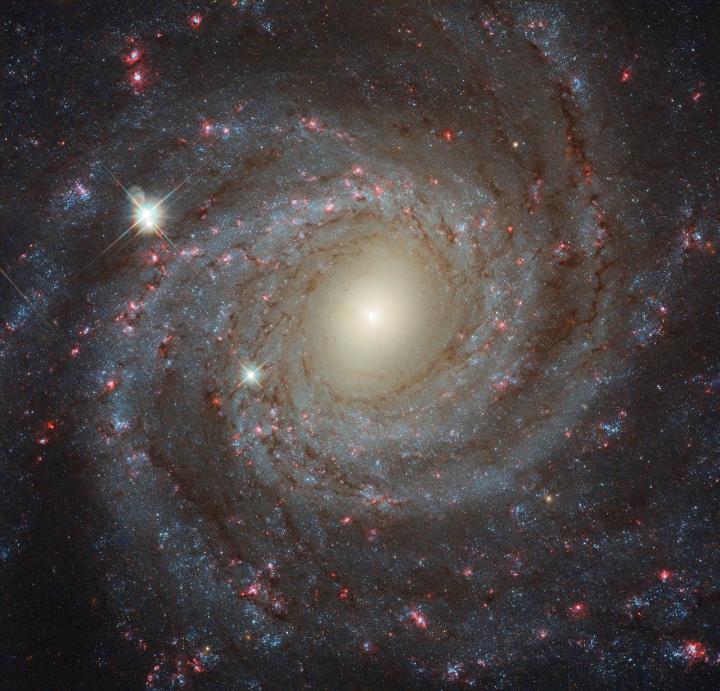 Die Galaxie NGC 3344 ist eine einsame Schönheit